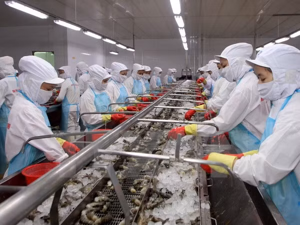 Vietnam realiza esfuerzos para erradicar la pesca ilícita ảnh 1 Vietnam realiza esfuerzos para erradicar la pesca ilícita ảnh 1
