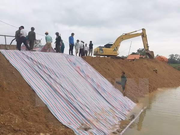 Vicepremier pide a Thanh Hoa seguir de cerca situación de desastres naturales ảnh 1