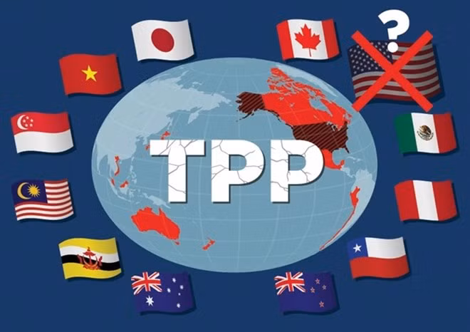 Jefes de delegaciones de negociaciones del TPP se reúnen en Japón ảnh 1 Jefes de delegaciones de negociaciones del TPP se reúnen en Japón ảnh 1
