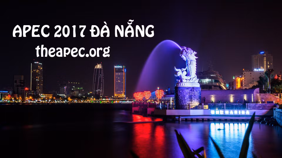 Da Nang garatiza seguridad vial durante la Cumbre de APEC ảnh 1