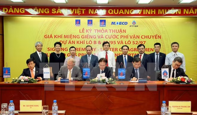 Firman dos contratos para desarrollo de yacimiento de gas en Vietnam ảnh 1