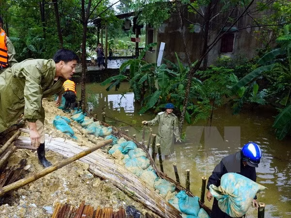  Continúan en Vietnam actividades de apoyo a víctimas de inundaciones ảnh 1