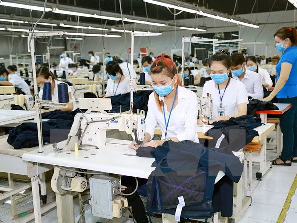 Empresas textiles de Vietnam reciben grandes demandas en primer trimestre ảnh 1