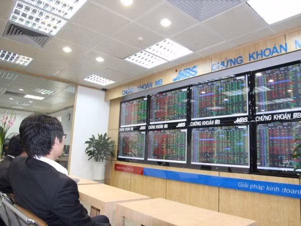 Vietnam moviliza 106 millones de dólares por emisión de bonos gubernamentales ảnh 1