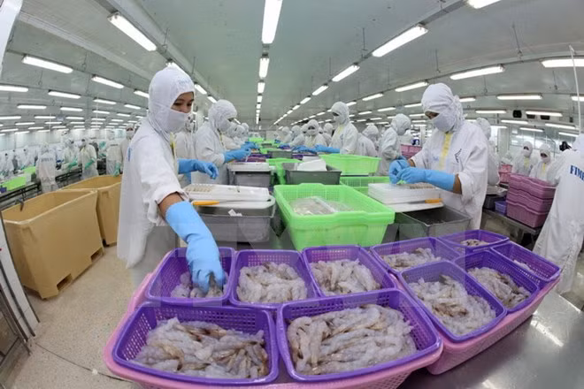 Delta del Mekong plantea meta de 15 mil millones de dólares por exportaciones ảnh 1 Delta del Mekong plantea meta de 15 mil millones de dólares por exportaciones ảnh 1