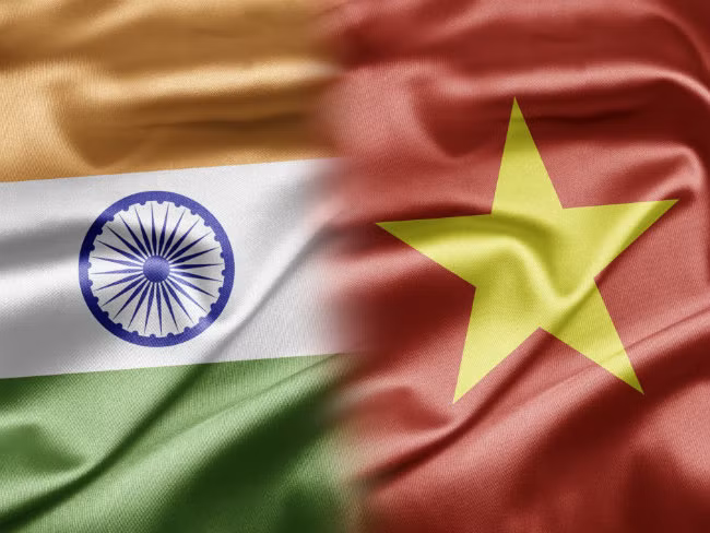 Vietnam reconoce contribuciones de organización india a nexos bilaterales ảnh 1