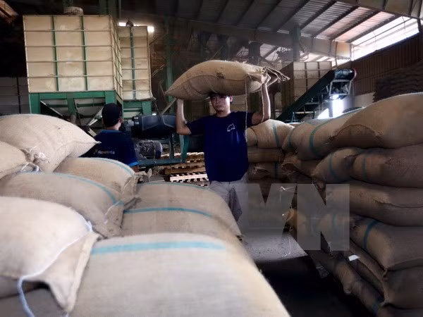 Exportaciones agrícolas de Vietnam disminuyen en enero de 2017 ảnh 1