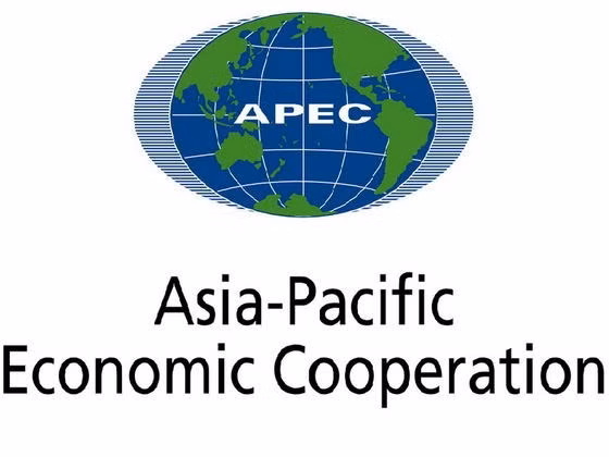 APEC 2017, prioridad de política exterior multilateral de Vietnam ảnh 1