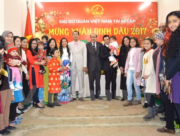 Vietnamitas en Egipto y Camboya celebran el Tet ảnh 1
