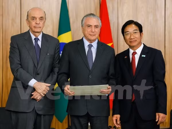 Brasil y Vietnam intensifican relaciones de colaboración ​ ảnh 1