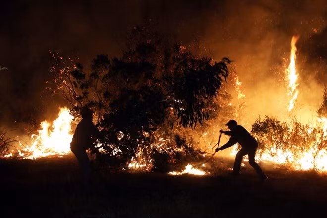 Indonesia aplicará medidas estrictas contra culpables de incendios forestales ảnh 1