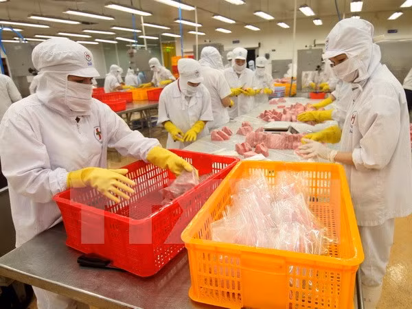 Provincia de An Giang prevé lograr 820 millones de dólares en exportaciones ảnh 1