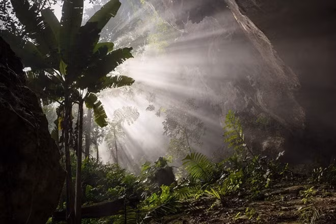 Vietnam esclarece información sobre cueva Son Doong ảnh 1 Vietnam esclarece información sobre cueva Son Doong ảnh 1
