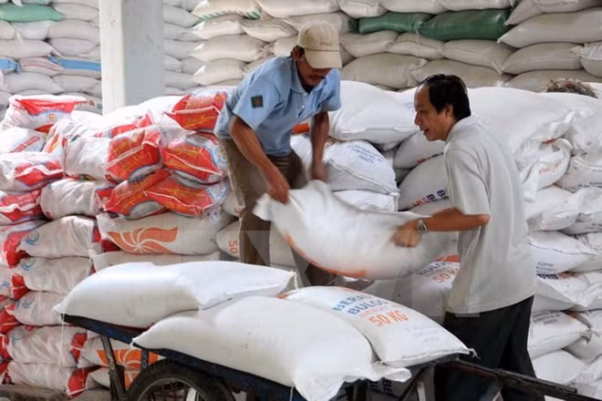 Filipinas aumenta importaciones de arroz de Vietnam y Tailandia ảnh 1