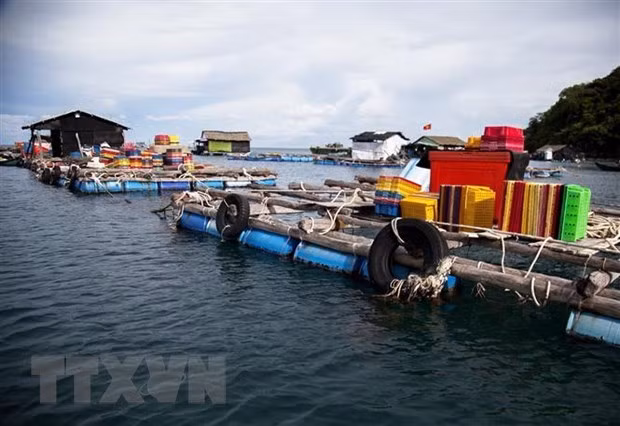 Vietnam por desarrollar de manera sostenible sector acuático ảnh 2