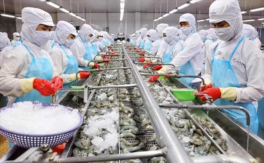 Vietnam por desarrollar de manera sostenible sector acuático ảnh 1