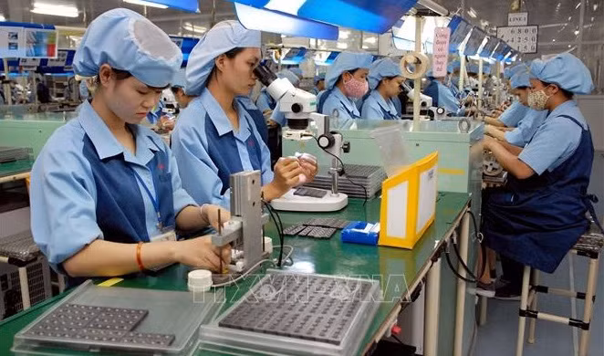 Vietnam dedica 50 millones de dólares para apoyar a trabajadores afectados por COVID-19 ảnh 1