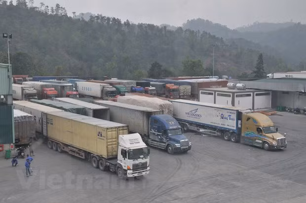 Examinan modos de aliviar congestión en puerta fronteriza entre Vietnam y China ảnh 1