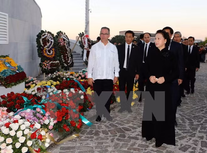 Fidel Castro: un amigo entrañable de Vietnam ảnh 1