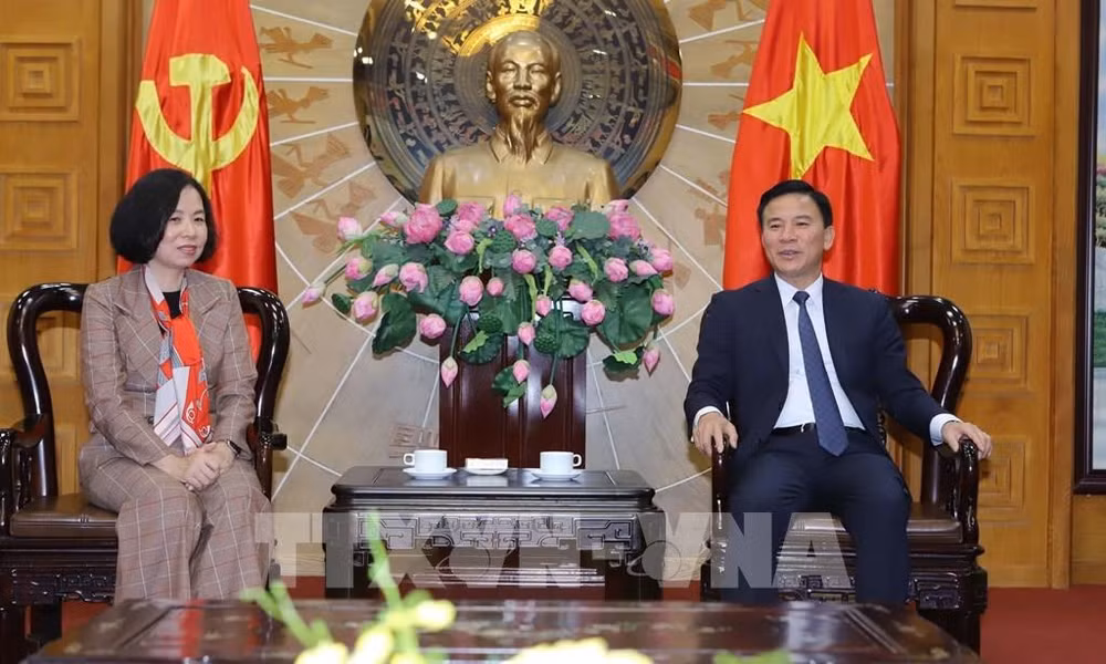 VNA agilicen lazos en campo de información con localidades vietnamitas ảnh 1