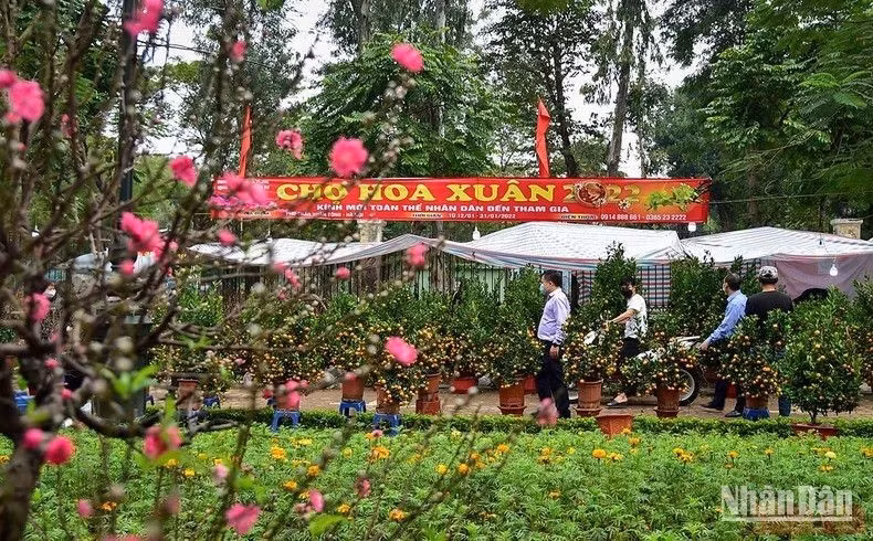 Festival de Primavera 2024 tendrá lugar en Hanoi ảnh 1