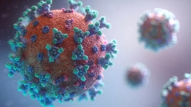 Detectan nueva variante de SARS-CoV-2 en Ciudad Ho Chi Minh ảnh 1