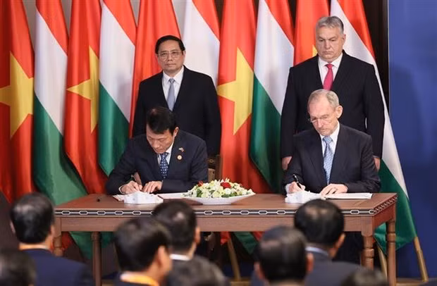 Primeros ministros vietnamita y húngaro sostienen conversaciones ảnh 2