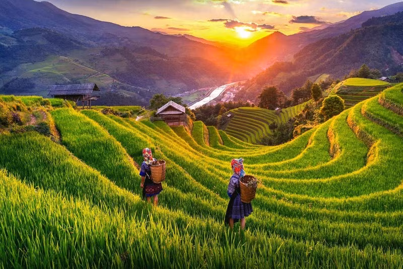 Travel Off Path clasifica a Vietnam entre destinos más seguros de Asia ảnh 1 Travel Off Path clasifica a Vietnam entre destinos más seguros de Asia ảnh 1