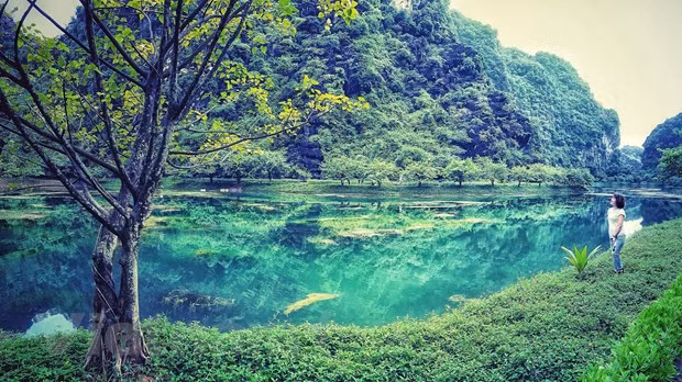Ninh Binh: turismo de cuevas en el corazón del Patrimonio Mundial ảnh 1