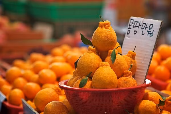 Vietnam clasificado como mercado clave de Sudcorea ảnh 1 Vietnam clasificado como mercado clave de Sudcorea ảnh 1