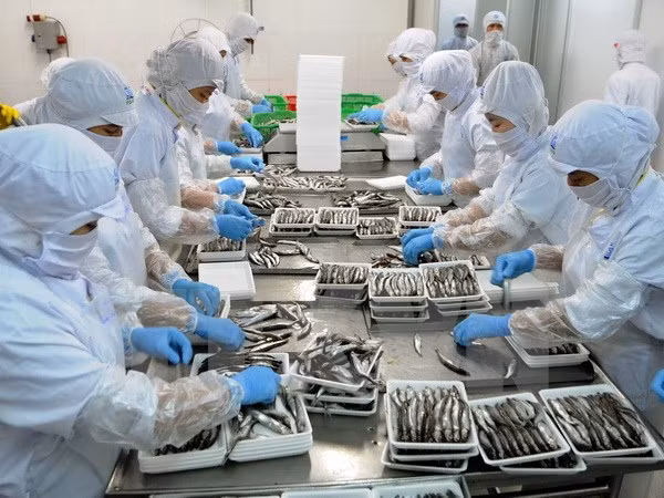 Honradas empresas vietnamitas con productos de alta calidad ảnh 1 Honradas empresas vietnamitas con productos de alta calidad ảnh 1
