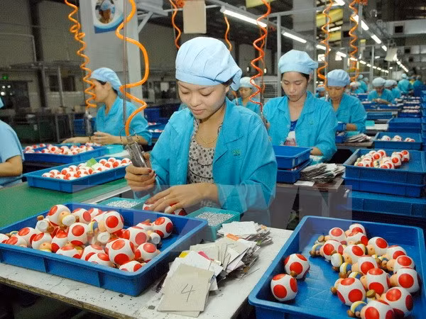 Impactos del TPP sobre los productos claves de Vietnam ảnh 1