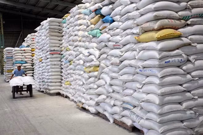 Vietnam por mejorar capacidad de exportadores de arroz ảnh 1