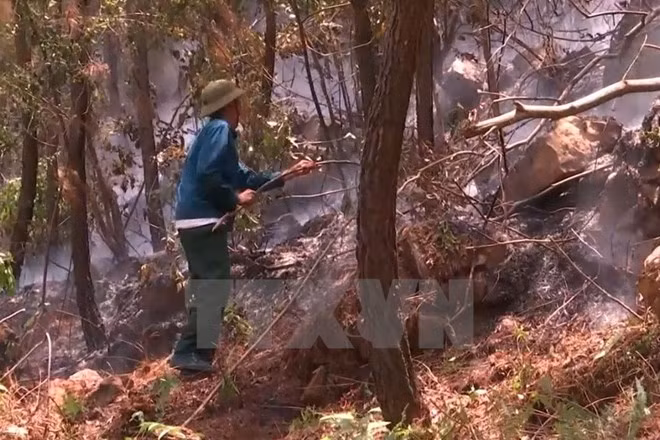 Clima seco eleva alerta de incendios forestales de Vietnam ảnh 1