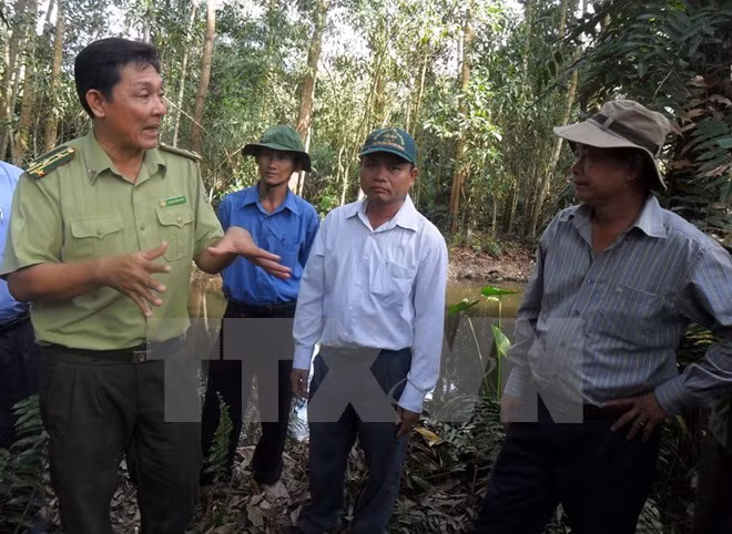 Tay Ninh corre el alto riesgo de incendios forestales ảnh 1
