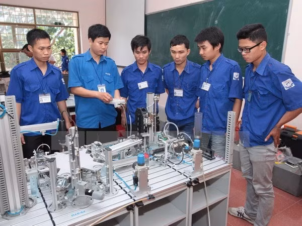 Vietnam impulsa reformas de capacitación vocacional ảnh 1