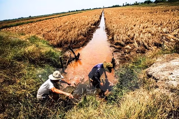 Recibirá Vietnam asistencia internacional para enfrentar cambio climático en Delta del Mekong ảnh 1