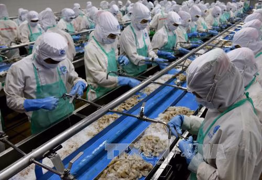 Figura México entre mercados receptores de productos acuícolas vietnamitas de mayor crecimiento ảnh 1