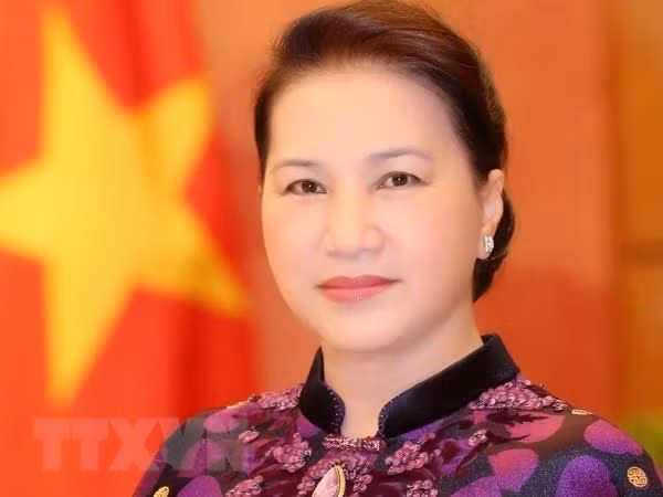 Enfatizan papel de los nexos parlamentarios en la asociación integral Vietnam-UE ảnh 1
