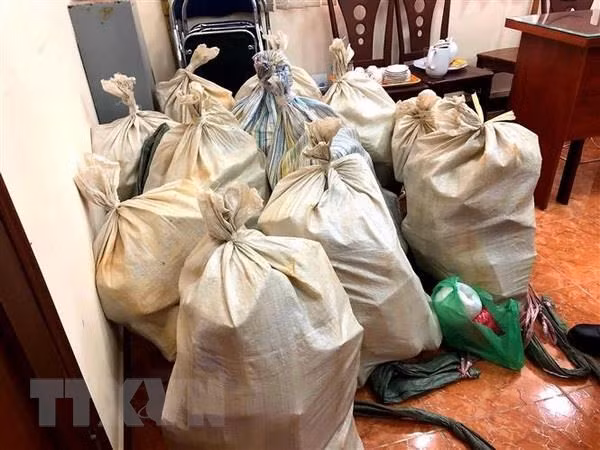 Amplían investigación sobre recién desarticulada red de narcotráfico en Vietnam e incautan más drogas ảnh 1