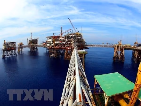 Empresa petrolera Vietsovpetro recibe primer flujo de crudo de yacimiento Ca Tam ảnh 1