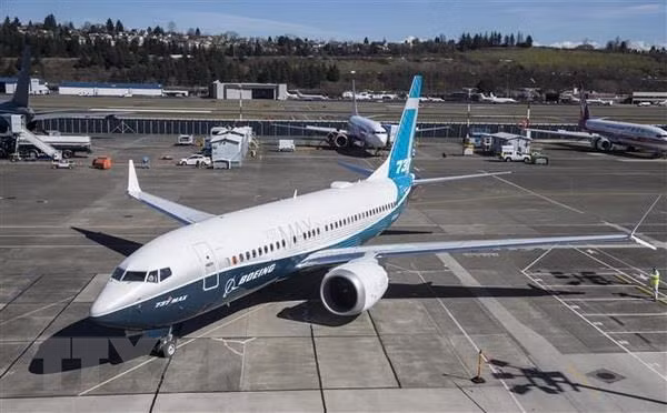 Suspende Singapur vuelos de aviones Boeing 737 MAX ảnh 1