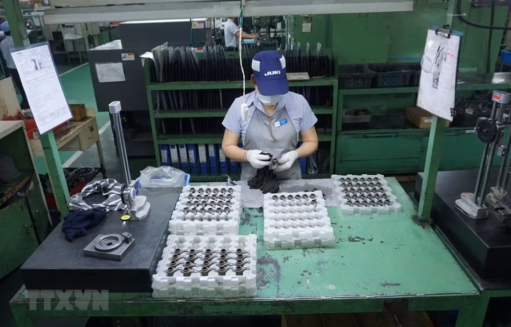 Buscan empresas de Vietnam aprovechar oportunidades del CPTPP ảnh 1