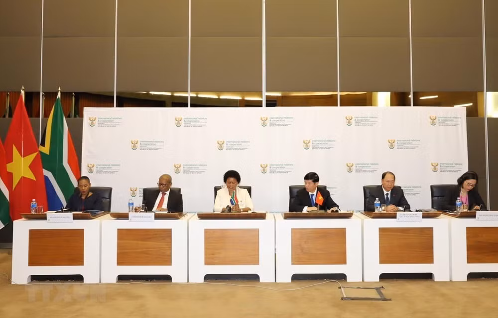Destacan en Sudáfrica nexos con Vietnam ảnh 1