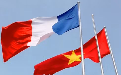 Visita a Francia de dirigente parlamentaria de Vietnam profundizará la asociación estratégica bilateral ảnh 1