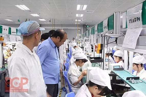 Empresa singapurense aumenta inversiones en provincia vietnamita de Bac Giang ảnh 1