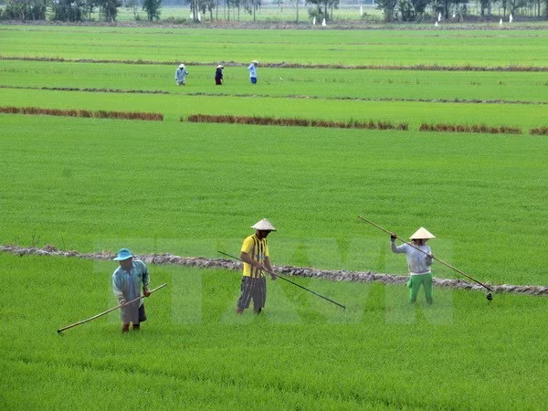 Debaten en Vietnam medidas para elevar la competitividad de productos agrícolas ảnh 1 Debaten en Vietnam medidas para elevar la competitividad de productos agrícolas ảnh 1