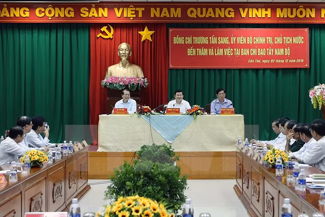 Presidente confía en perspectivas de desarrollo de Delta de Mekong ảnh 1