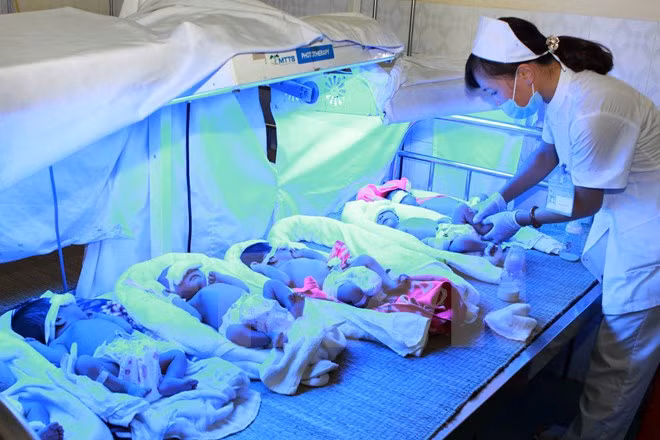 Asistencia internacional a puérperas y bebes vietnamitas ảnh 1