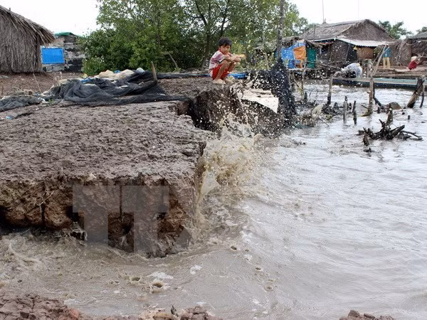 Prestan más atención a personas vulnerables por cambio climático ảnh 1 Prestan más atención a personas vulnerables por cambio climático ảnh 1